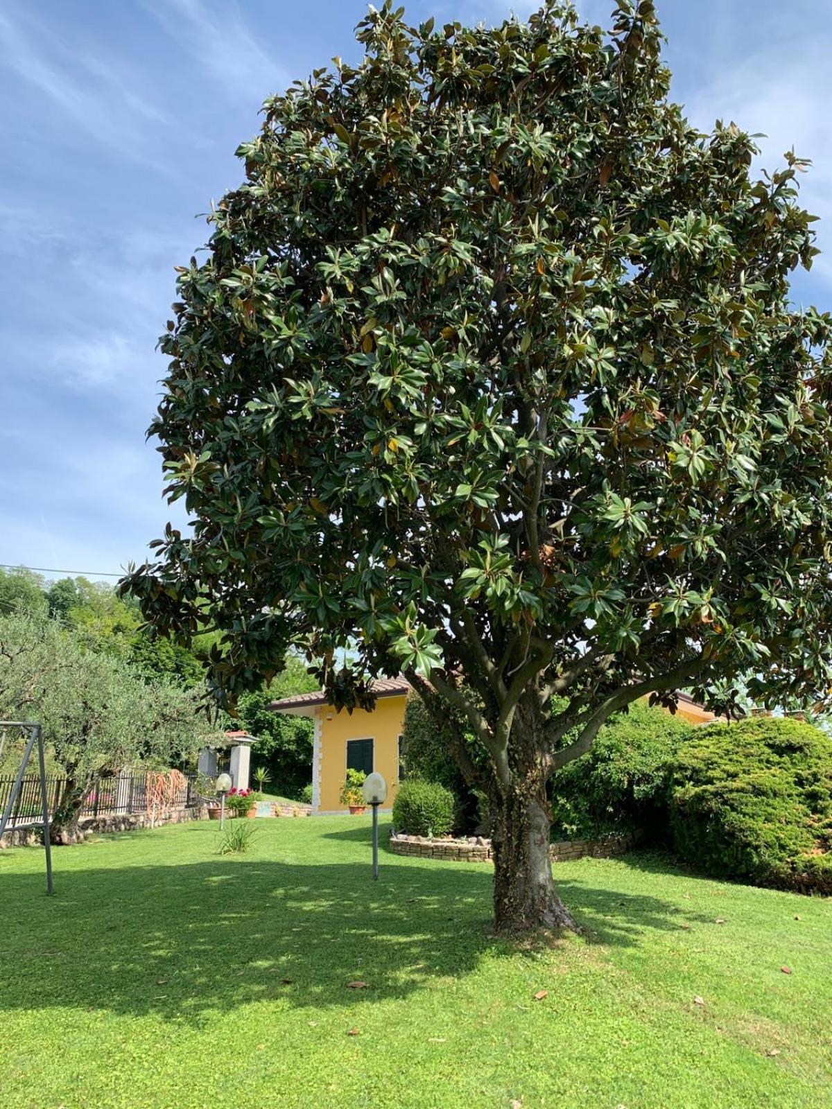 Poli Villa'S Apartment Bardolino Zewnętrze zdjęcie